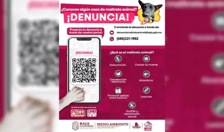L�neas de emergencia y Whatsapp para denunciar crueldad y abandono de animales