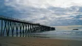 Arrancan jornadas de limpieza en playas de Baja California durante mayo