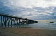 Arrancan jornadas de limpieza en playas de Baja California durante mayo