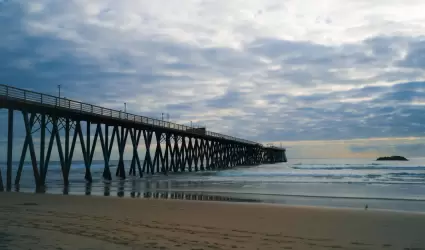 Arrancan jornadas de limpieza en playas de Baja California durante mayo