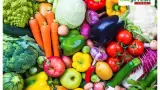 Condado de San Diego promueve acceso a alimentos con el Mes de Concientizaci�n s