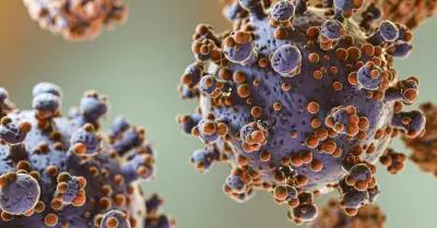 hantavirus