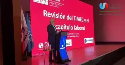T-MEC se mantendr� aun con presiones pol�ticas y de seguridad, anticipa experto 