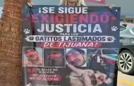 Se manifiestan en Tijuana para exigir castigo contra responsable de torturar varios gatos