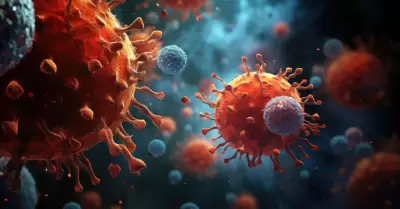 Virus