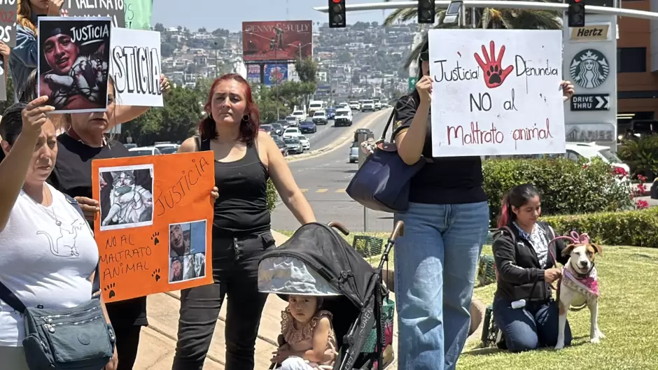 Marchan en Tijuana para exigir justicia por gatito torturado