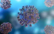 Polymarket especula sobre hantavirus mientras OMS llama a la calma