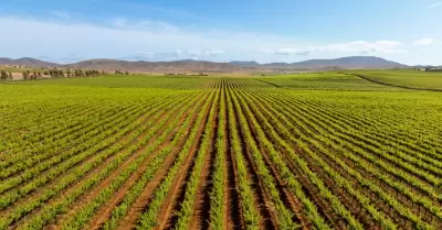Valle de Guadalupe
