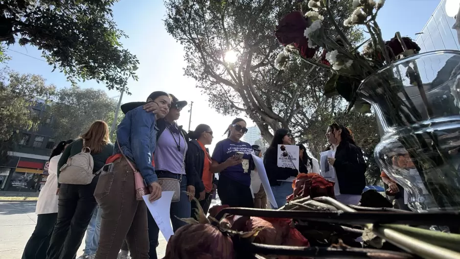 Violencia vicaria en la frontera: madres denuncian sustracci�n de hijos hacia Estados Unidos