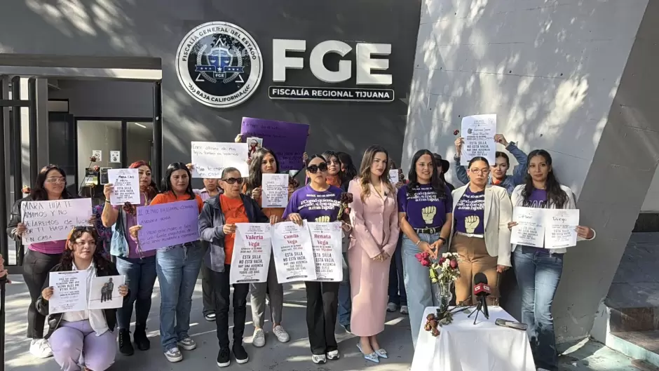 Violencia vicaria en la frontera: madres denuncian sustracci�n de hijos hacia Estados Unidos