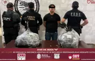 Aseguran m�s de 44 kilos de metanfetamina en Tijuana; hay un detenido