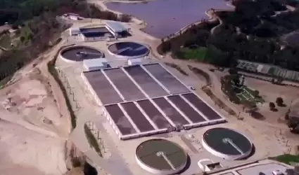 Promueven amparo para que parques y jardines de Tijuana sean regados con agua re