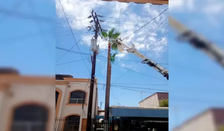 Corte de energ�a deja sin servicio a oficinas de gobierno en Mexicali