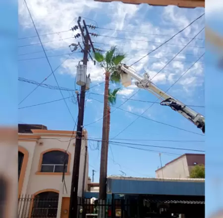 Corte de energ�a deja sin servicio a oficinas de gobierno en Mexicali