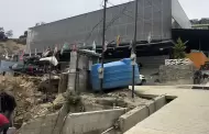 VIDEO.- Siete j�venes migrantes rompen la barrera de la frontera con t�tulos acad�micos