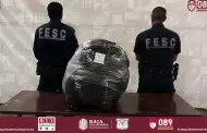 Asegura FESC m�s de 17 kilos de marihuana durante operativo en Tijuana