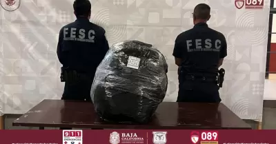 Asegura FESC m�s de 17 kilos de marihuana durante operativo en Tijuana