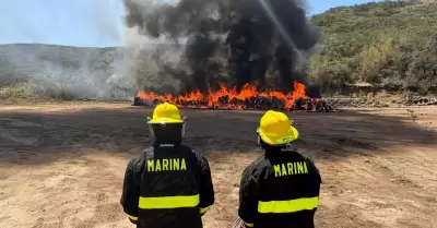 Incineran 12 toneladas de marihuana aseguradas en Ensenada