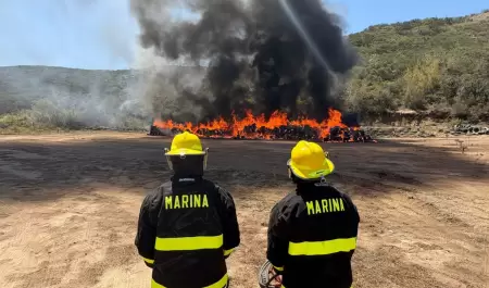 Incineran 12 toneladas de marihuana aseguradas en Ensenada