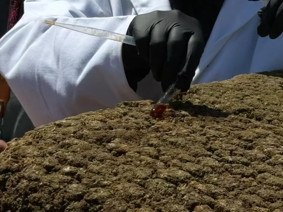 Incineran 12 toneladas de marihuana aseguradas en Ensenada