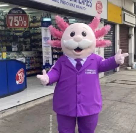 AjoloSimi