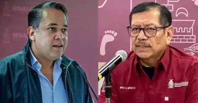 Gerardo M�rida S�nchez, Enrique D�az Vega