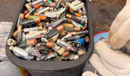 Recolectan m�s de una tonelada de pilas alcalinas en jornada ambiental en Ensena