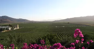 Valle de Guadalupe