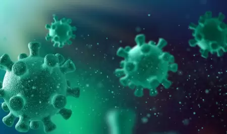 Virus