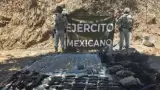 Sinaloa