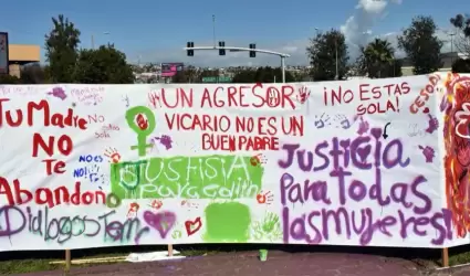 Alerta de G�nero delitos contra las mujeres