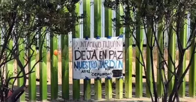 Denuncian a personal municipal por el retiro y tala de plantas end�micas en el P