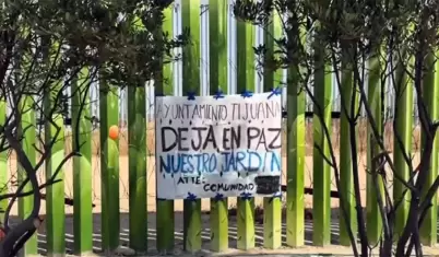 Denuncian a personal municipal por el retiro y tala de plantas end�micas en el P