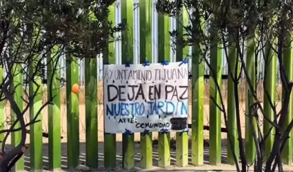 Denuncian a personal municipal por el retiro y tala de plantas end�micas en el P