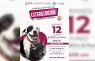 Invita Secretar�a de Medio Ambiente a aprovechar jornada de esterilizaci�n gratuita en Tijuana