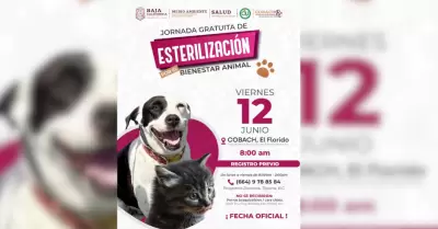 Invita Secretar�a de Medio Ambiente a aprovechar jornada de esterilizaci�n gratu