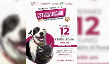 Invita Secretar�a de Medio Ambiente a aprovechar jornada de esterilizaci�n gratu