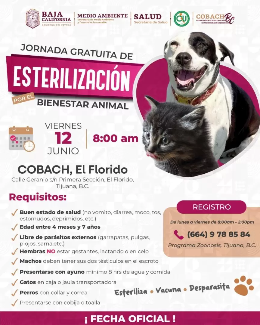 Invita Secretaría de Medio Ambiente a aprovechar jornada de esterilización gratuita en Tijuana