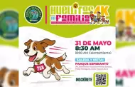 Convoca a "Huellitas en Familia 4K" para impulsar convivencia y bienestar animal