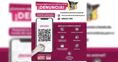 SMADS atiende denuncias por maltrato y crueldad animal