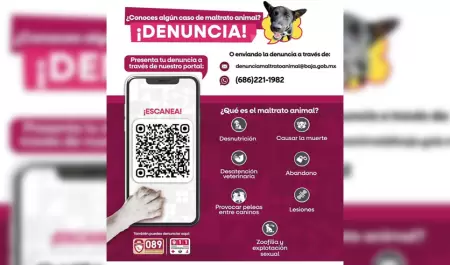 SMADS atiende denuncias por maltrato y crueldad animal