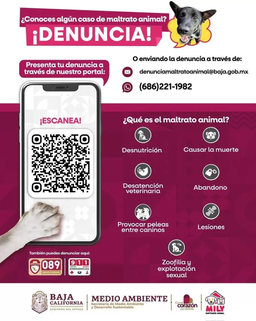 SMADS atiende denuncias por maltrato y crueldad animal