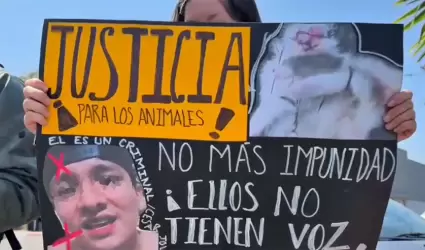 Por dar con responsable de agresi�n a gatitos en Tijuana
