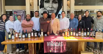 Vi�adas 2026 en el Valle de Guadalupe