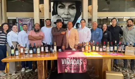 Vi�adas 2026 en el Valle de Guadalupe