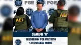 Acusado de maltrato y crueldad animal en Ensenada
