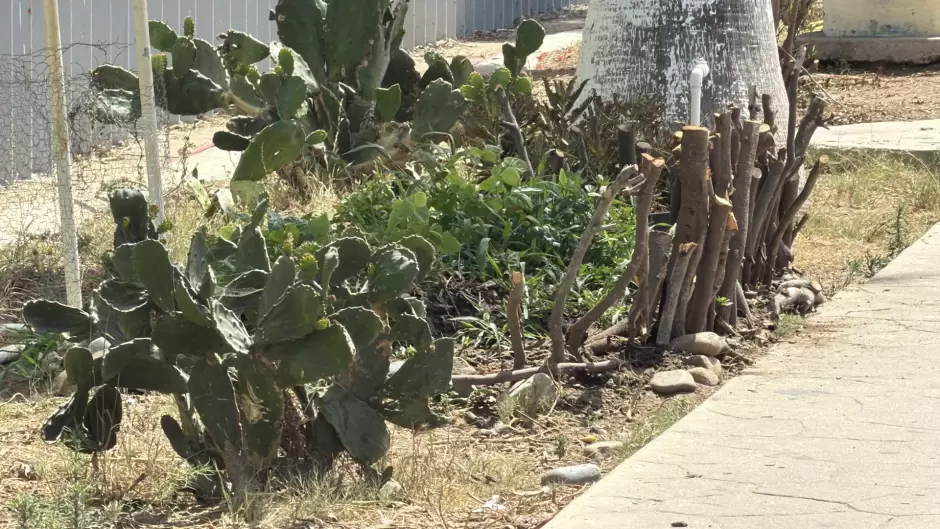 Activistas exigen restaurar jard�n binacional da�ado en playas de Tijuana