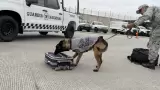 Seguridad
