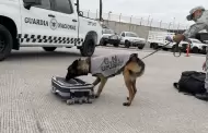 VIDEO.- El reto en Tijuana es la seguridad, tras ser elegida como sede mundialista de la selecci�n de Ir�n