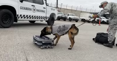 Seguridad